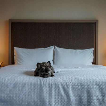 Homewood Suites By Hilton Chicago West Loop Fulton Mkt Area Kültér fotó
