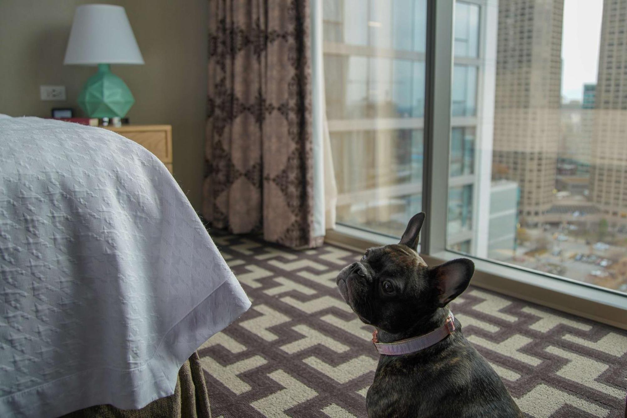 Homewood Suites By Hilton Chicago West Loop Fulton Mkt Area Kültér fotó