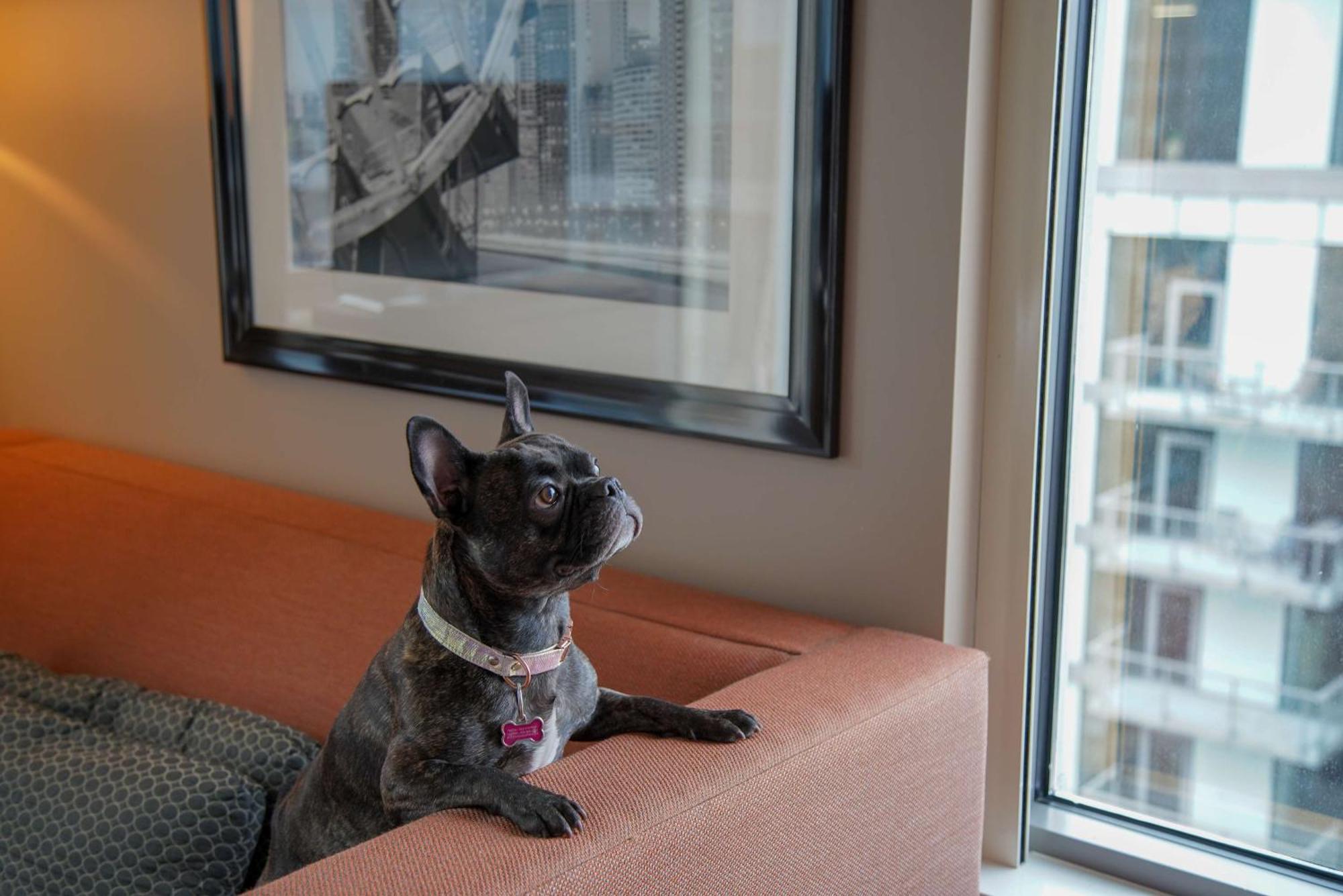 Homewood Suites By Hilton Chicago West Loop Fulton Mkt Area Kültér fotó